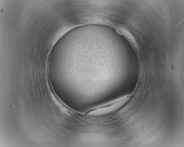 X0000088611439200706081423