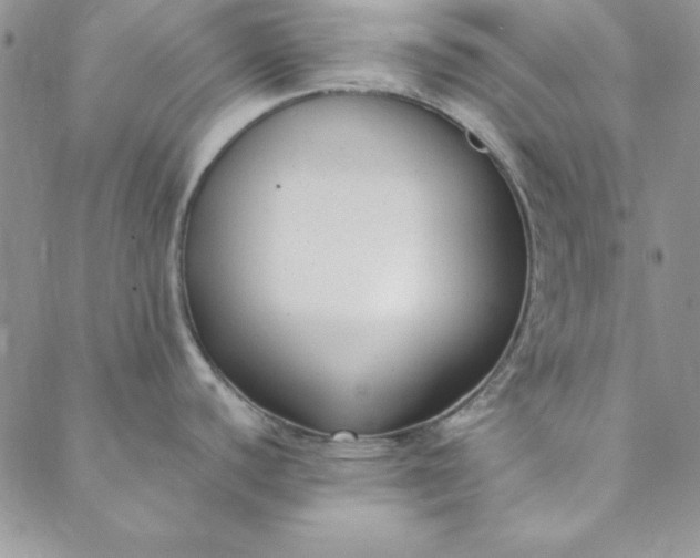 X0000088611440200706081423