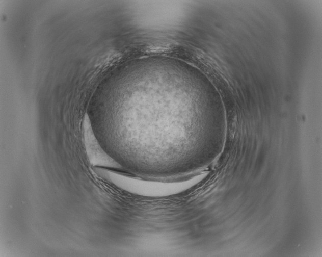 X0000088611441200706081422