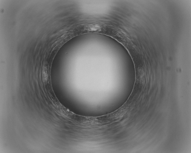 X0000088611442200706081422