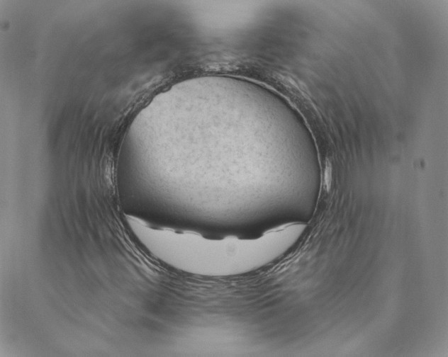 X0000088611444200706081422