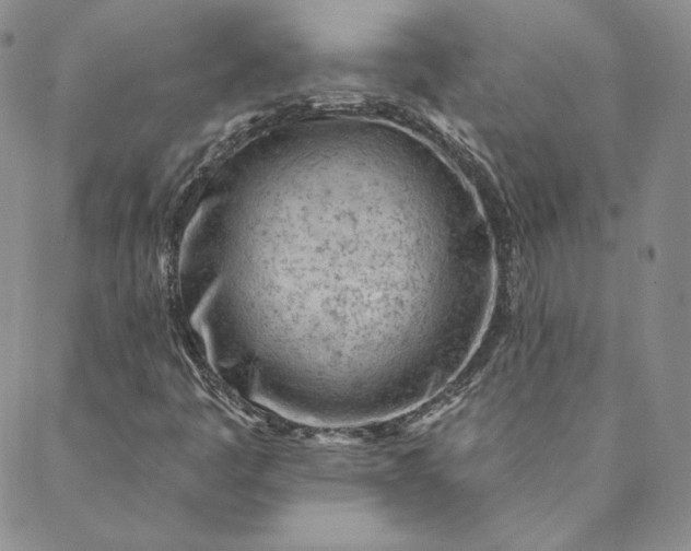 X0000088611445200706081422