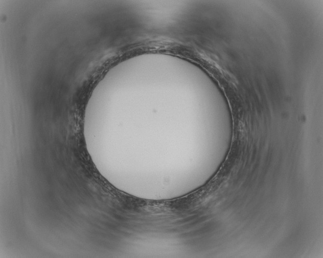 X0000088611447200706081422