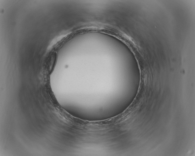 X0000088611448200706081422