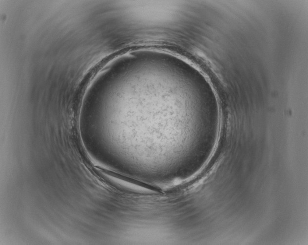 X0000088611449200706081422