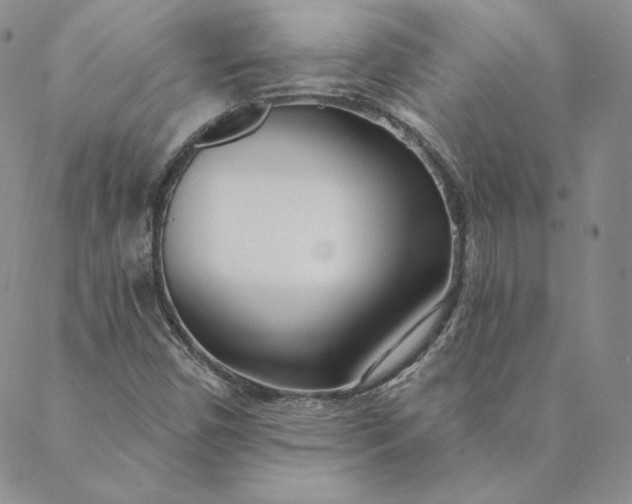 X0000088611450200706081422