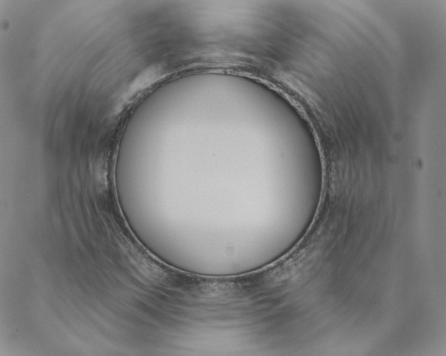 X0000088611451200706081422