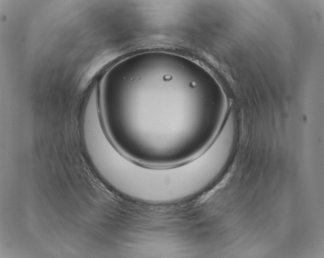 X0000088611453200706081422