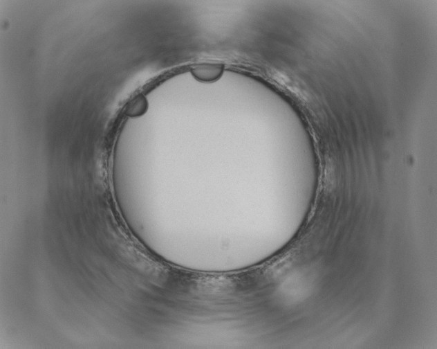 X0000088611454200706081422