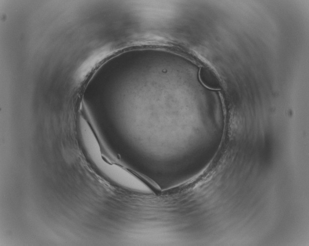 X0000088611455200706081422