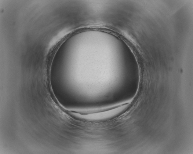 X0000088611456200706081422