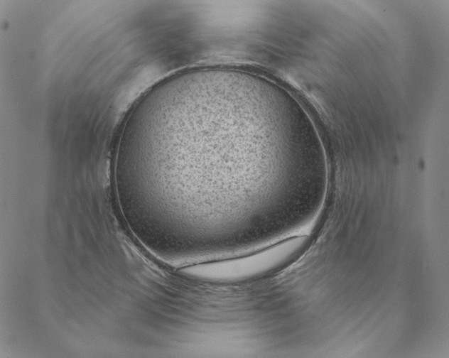 X0000088611459200706081422