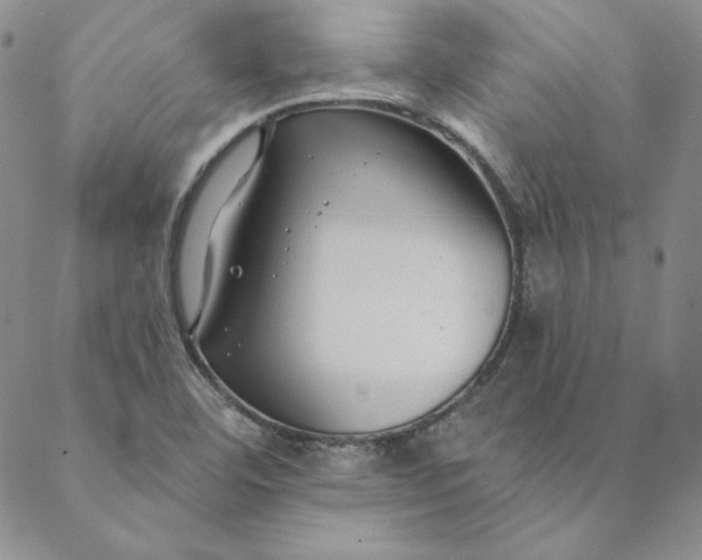 X0000088611460200706081422