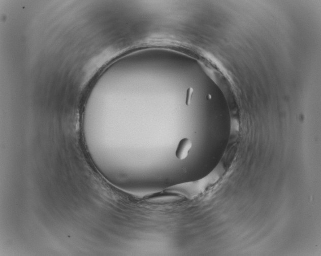 X0000088611461200706081422