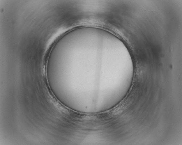 X0000088611462200706081422