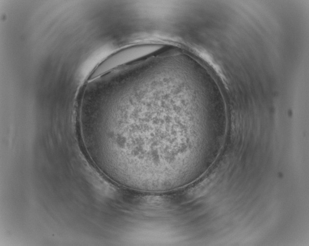 X0000088611463200706081422