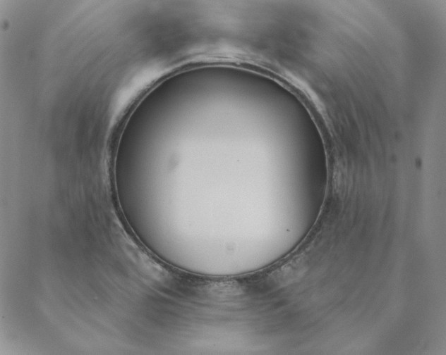 X0000088611464200706081422