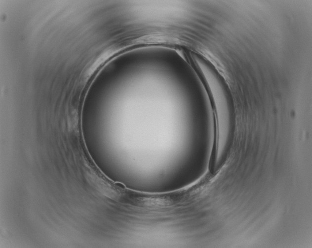 X0000088611465200706081422