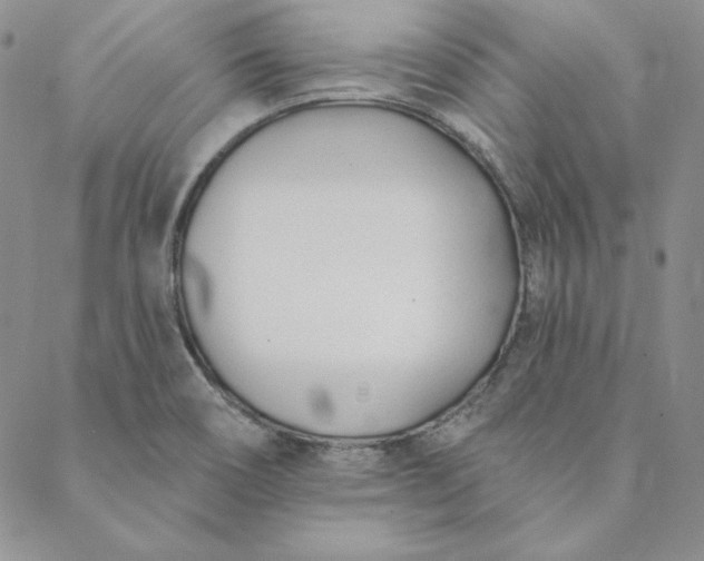 X0000088611466200706081422