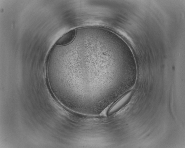 X0000088611467200706081422