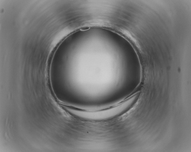 X0000088611469200706081422