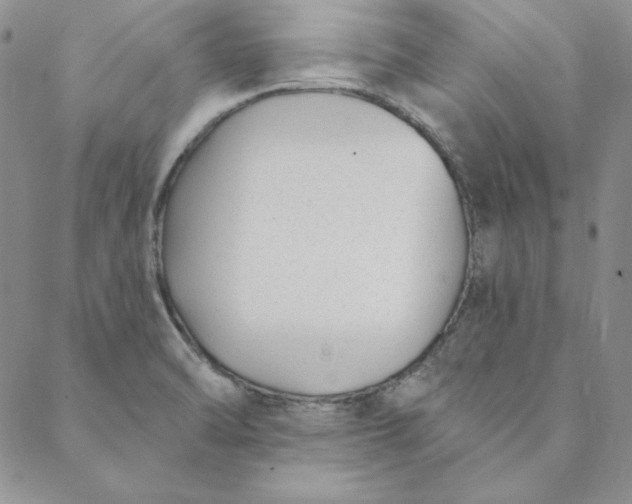 X0000088611470200706081422