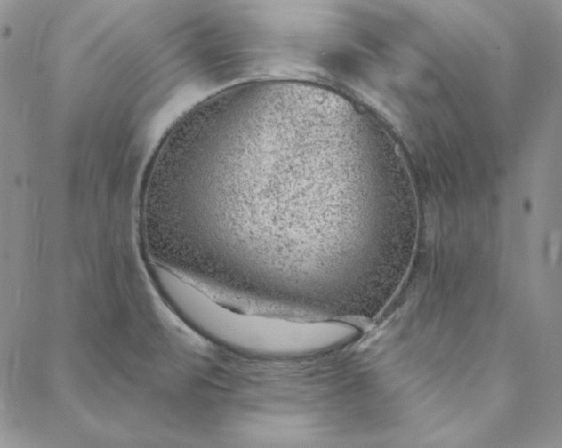 X0000088611471200706081422