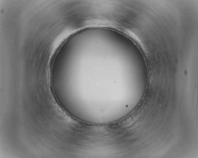 X0000088611472200706081422