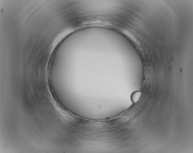 X0000088611474200706081422