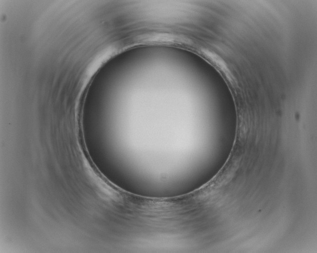 X0000088611475200706081422