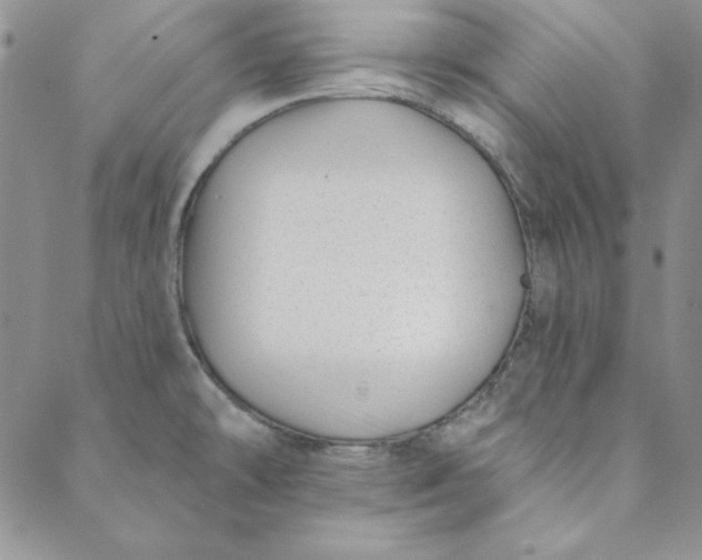 X0000088611478200706081422