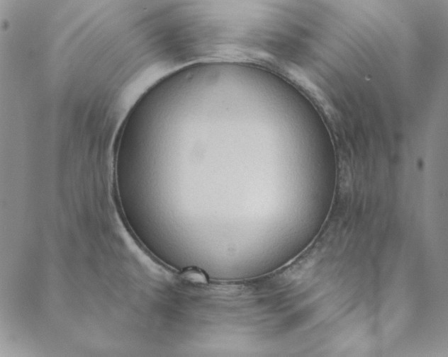 X0000088611479200706081422