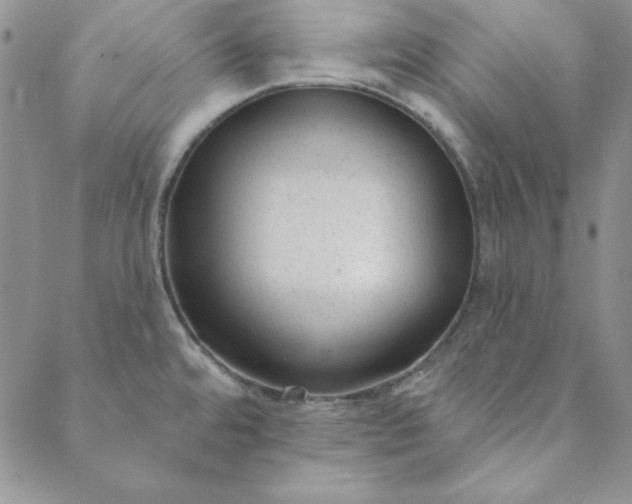 X0000088611480200706081422