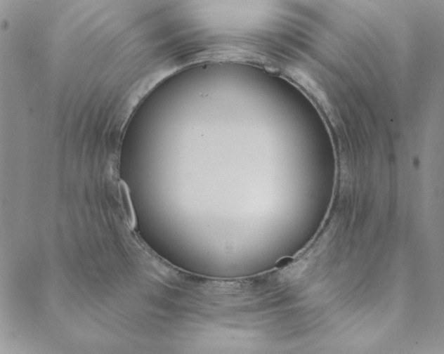 X0000088611481200706081422