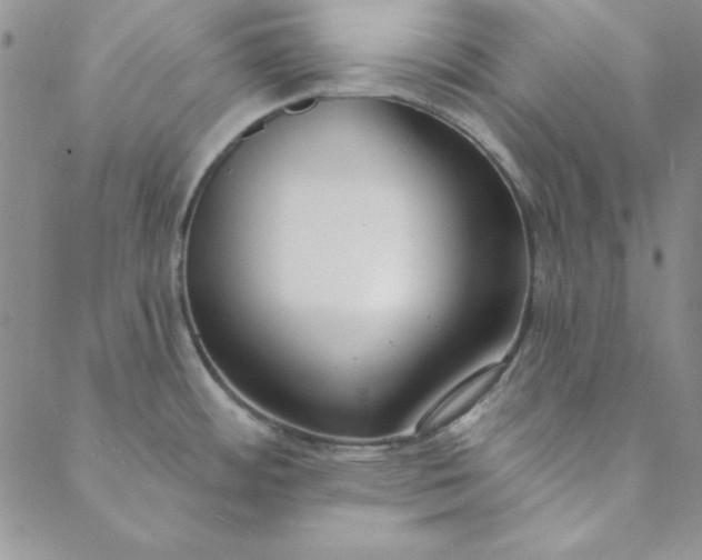 X0000088611484200706081422