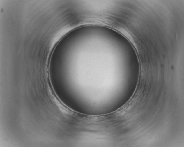 X0000088611485200706081422