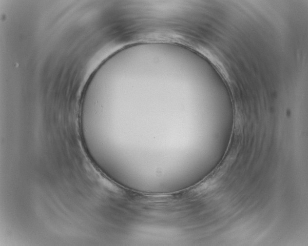 X0000088611486200706081422