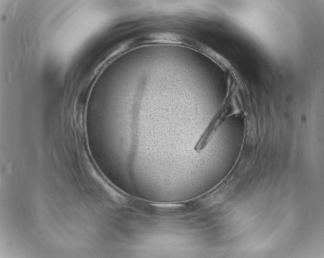 X0000088611487200706081422