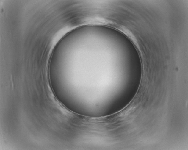 X0000088611488200706081422