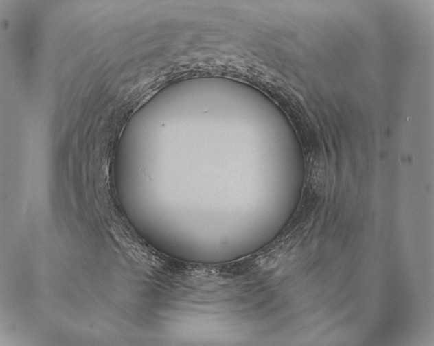 X0000088611489200706081421