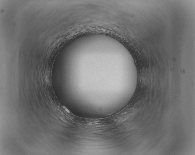 X0000088611490200706081421