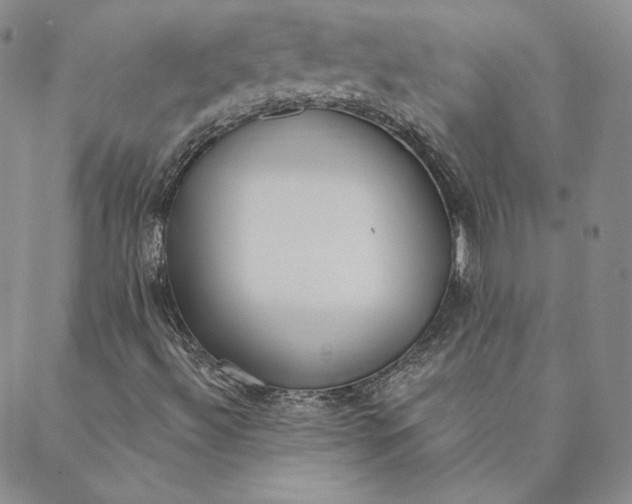 X0000088611492200706081421