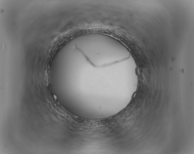 X0000088611493200706081421