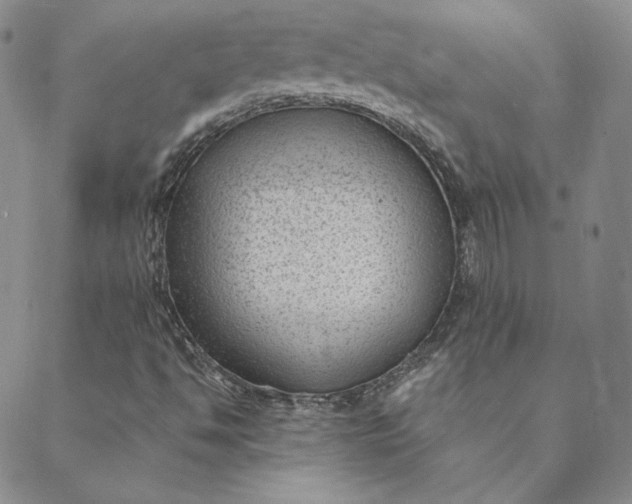 X0000088611494200706081421