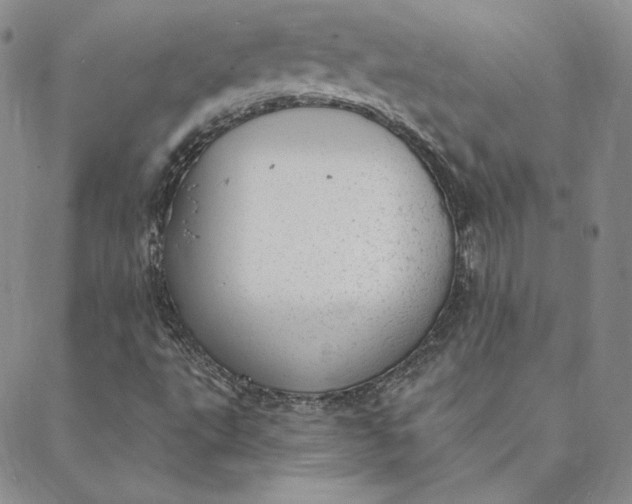 X0000088611495200706081421