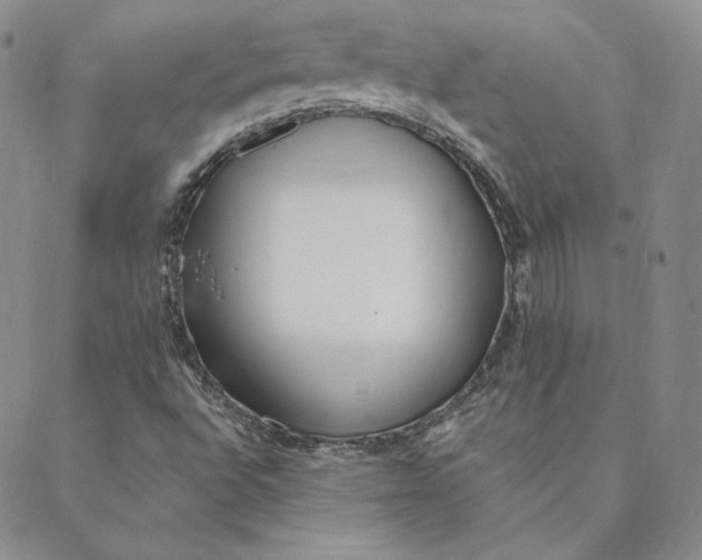 X0000088611496200706081421