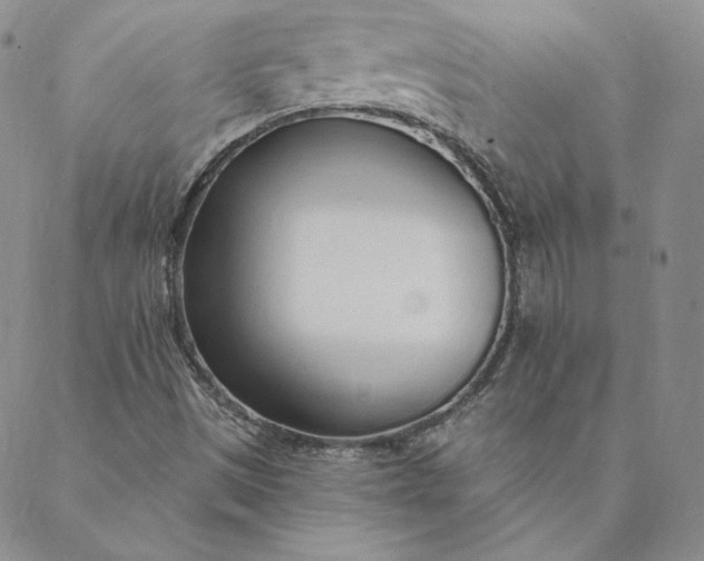 X0000088611497200706081421