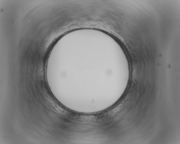 X0000088611498200706081421