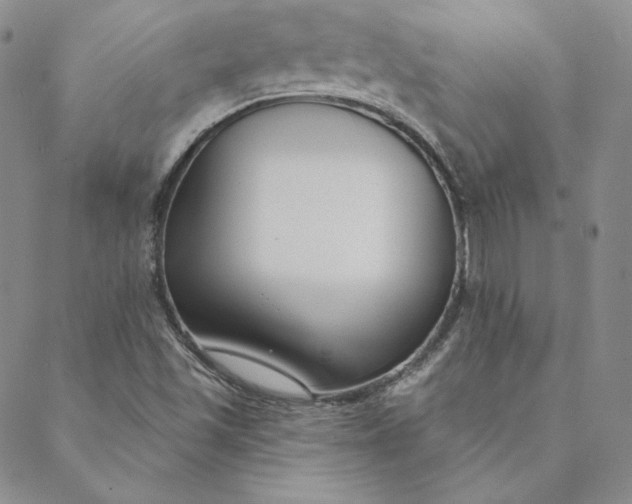 X0000088611501200706081421