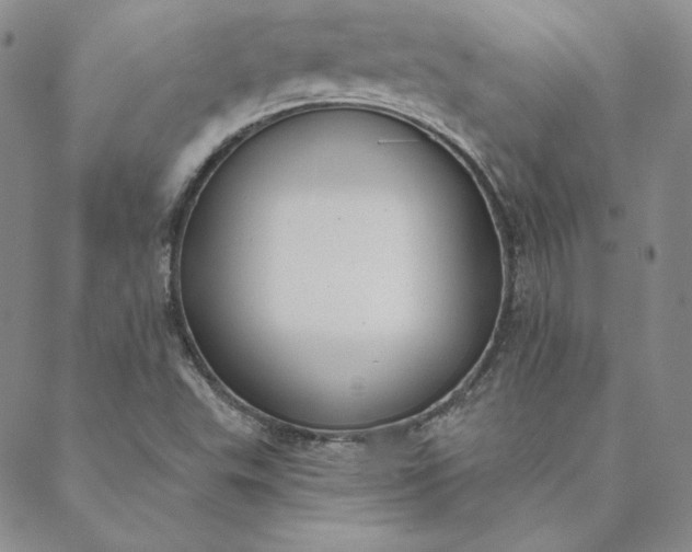 X0000088611503200706081421